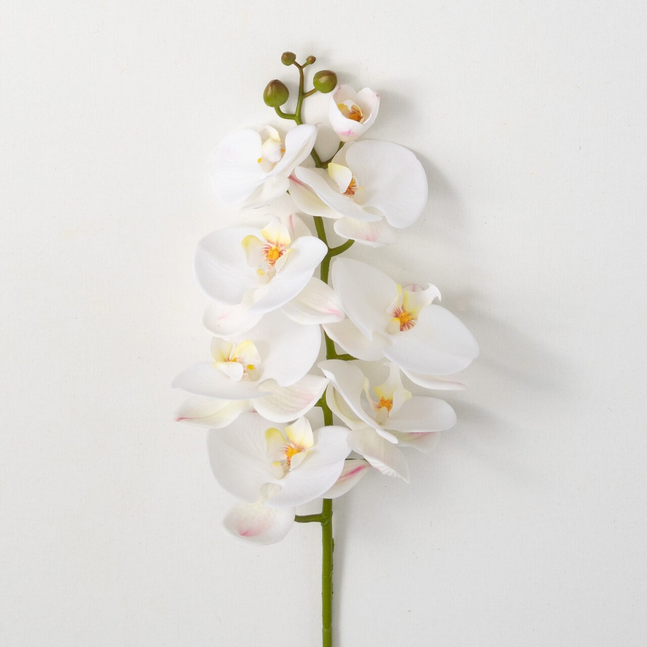 Sullivan's Phalaenopsis Stem, White Faux Floral Stem for Crafting, Weddings, Home and Holiday Decoration, 38.5 Inch